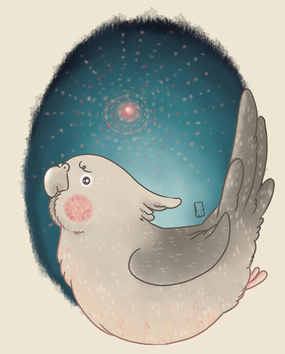 Cockatiel